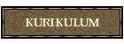 KURIKULUM